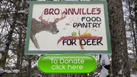 brownville food pantry for deer live|Brownvilles Food Pantry For Deer